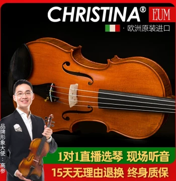 EUMASTER-5000 European Original Import Handmade Solo Grade Viola (Size 406mm) 16 inch