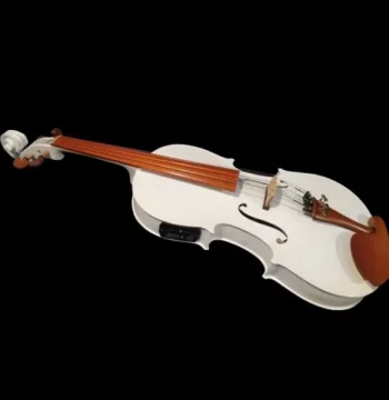 Changxiang Instruments Electric White Viola, Performance Electro-Acoustic Viola 15/16 inch with Jujube Wood Accessories