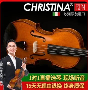 EUMASTER-3000 Handcrafted Solo-Level Viola Imported from Europe (406mm / 16")