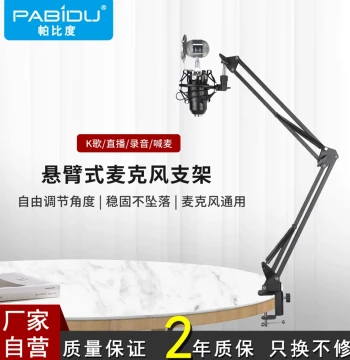 Pabidu Condenser Microphone Stand Desktop Boom Arm Live Streaming Mic Shock Mount Desktop Rack