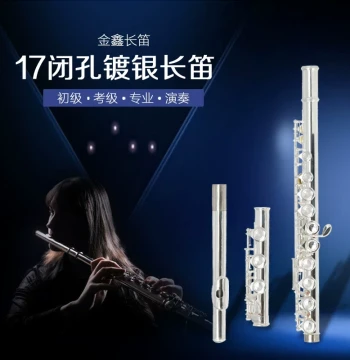17-Key E-Mechanism C-Tone Silver-Plated Flute - Silver-Plated 17-Key C-Tone Musical Instrument