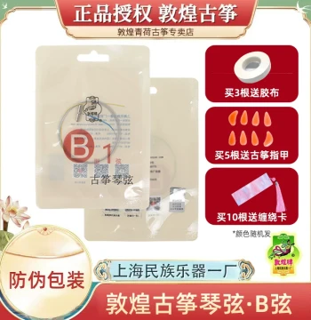 Dunhuang Guzheng Strings Type B - Authentic Official Authorized Products from Dunhuang Specialty Store
