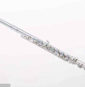 Diamond Reputation: American Thomassen Instruments F100 Flute