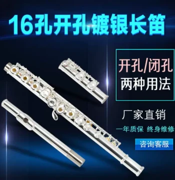 16-Key E-Key Key of C Flute Open/Closed Hole Dual-Use Copper Silver-Plated Professional Performance Grade Instrument with Portable Case