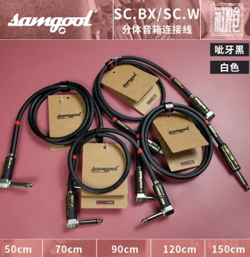 [Initialized Instruments] Samgool Professional Speaker Cable - Head to Cabinet Connection