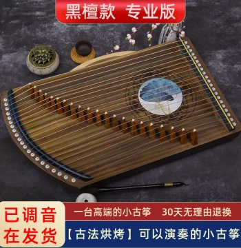 Guzheng Finger Trainer 21-String Ebony Solid Wood Instrument Portable Beginner Professional Fingering Performance Mini Small Guzheng
