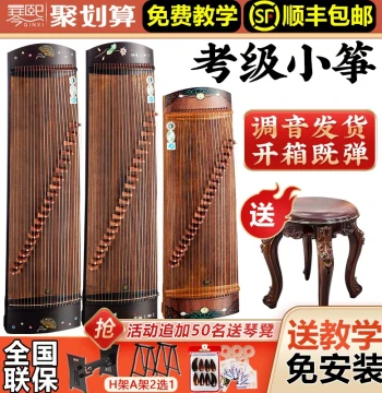 Qinxi Official Flagship Store Portable Mini Guzheng - Ideal for Beginners, Exams, Performance, Kids, and Adults