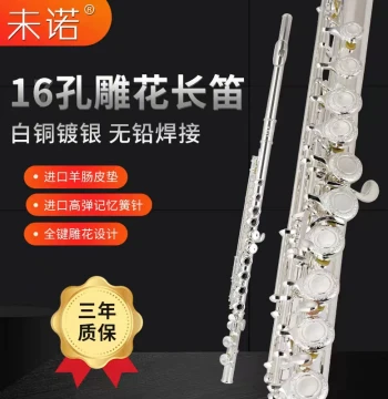 Weinuo 16/17-Hole Flute with Open/Closed Keys, Engraved Design, Imported Parts, Stable C Key for Beginners, Exams, Performances, and Orchestras