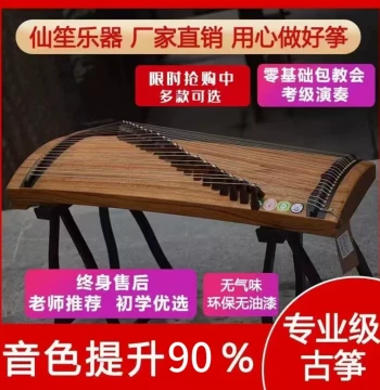Portable Mini Guzheng - Grade 10 Performance Quality, Plain Finish Solid Wood Instrument for Beginners, Exams, and Professionals