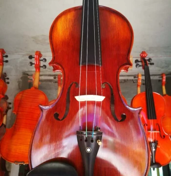Premium Handmade Solid Wood Viola with Grain Pattern, for Beginners, Practice, and Exams, Standard Sound Quality, Factory Direct