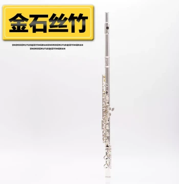 Western Wind Instrument C Tuning 16 Closed-Hole Flute - White UV Copper Silver-Plated, Split E Mechanism, Curved Keys for Beginners and Performances, Suitable for Children