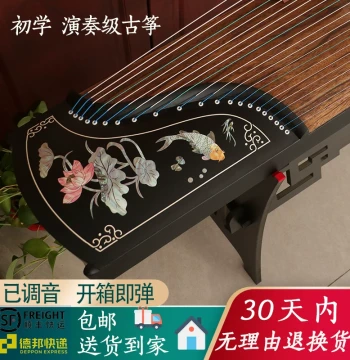 National Standard 163 Guzheng for Professional Performance and Grade 10 Exams, Ebony Wood, 125cm Portable Mini Guzheng for Beginners