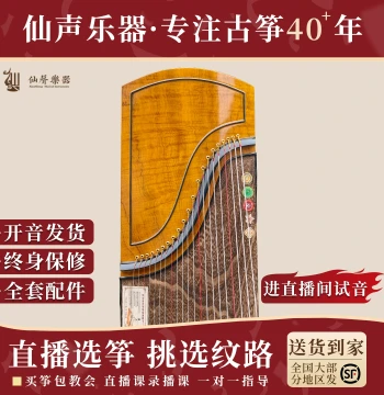 Xiansheng Instruments Premium Aged Paulownia Wood Carved Guzheng for Professional Exams, Performance, and Collection - Yangzhou Guzheng