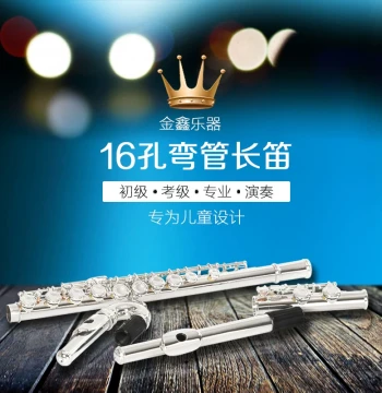 16-Hole C Key Silver-Plated Curved Headjoint Flute, Professional Performance Instrument for Adults and Children with Dual Headjoints