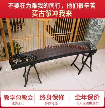 Performance Grade 10 Standard 163 Guzheng, Teaching Ebony Wood Beginner 125 Portable Mini Guzheng from Manufacturer