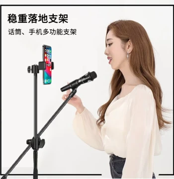 Floor-Standing Microphone Stand with Tripod for Adults and Kids - Live Streaming, Performances, Outdoor Karaoke, All-in-One Phone Holder
