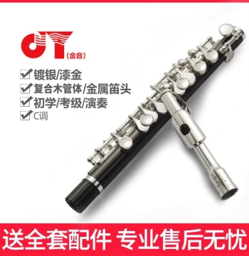 Authentic Jinyin Silver-Plated E110 Piccolo, JYPC-E110 for Adults, Children, Beginners, and Band Performance