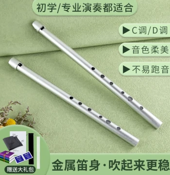Irish Tin Whistle for Beginners, 6-Hole Vertical Flute, All-Aluminum Soprano C/D Key Gift