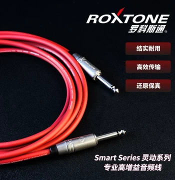 Rockstone Guitar Cable Noise Reduction Line 6.5mm Large Two-Core for Electric, Acoustic, and Bass Instruments, Smart Series