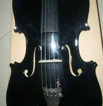 Electric Alto Viola: 5-String Black Electric Viola