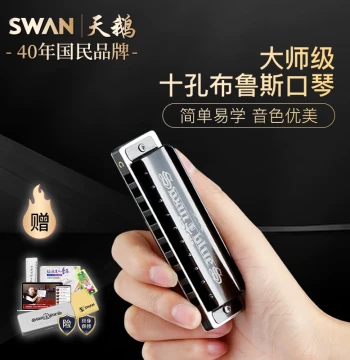 Swan Blues Harmonica 10-Hole Key C for Beginners and Kids - Official Flagship Store
