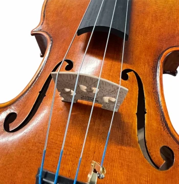 Handcrafted Viola for Exams and Orchestra: Professional Teaching Instrument for Adult Ensembles, 16"/15.5"-11" Sizes