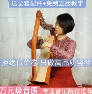 Chromatic Harp Walter Entry-Level Irish Celtic Maiden Small Harp 19-String Portable Mini Beginner Instrument
