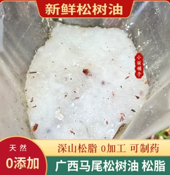 Fresh Masson Pine Resin 1 Jin - Natural Rosin Collected from Guangxi Mountains, Medicinal Grade, No Additives, Free Shipping
