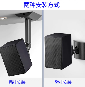 Compatible with Samsung HW-Q990F/D/C 9500s Rear Surround Speaker Ceiling/Wall Mount Bracket