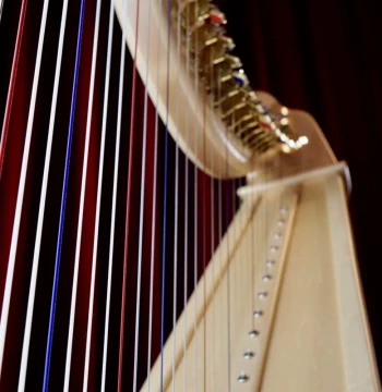Harp Strings, Universal Lever Harp Strings, Nylon Strings, Non-Pedal Use