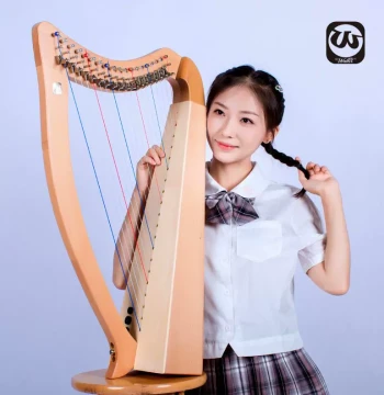 Selected Walter Manufacturer Harp Beginner Irish Small Harp 19-String Portable Compact Initial Learning Instrument Semi-Tone