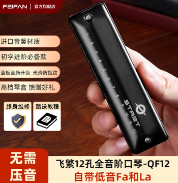 FEIFAN 12-Hole Blues Harmonica Chromatic Low Notes with Fa La for Beginners Adults Professional Performance
