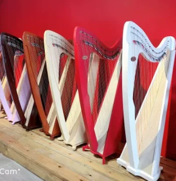 38-String Professional Harp – Irish Celtic Folk Harp with Full Lever Keys