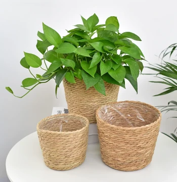 Nordic Style Woven Rattan Flower Basket for Indoor Desktop Decoration, Green Plants, Succulent Pots, Hug Bucket, Creative Pothos Planter