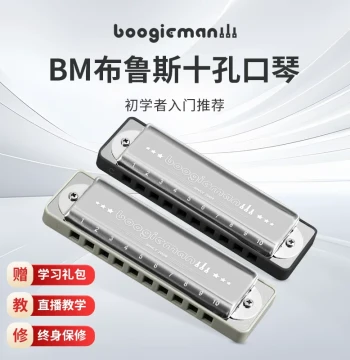 BoogieMan Blues Harmonica in C, 10-Hole Diatonic Harmonica for Beginners and Professional Performance