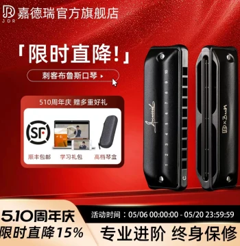 JDR Jiaderui Assassin Blues Harmonica, 10-Hole Key of C, Professional Performance with Paddy Tuning
