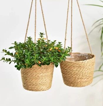 Woven Hanging Planter Basket - Straw and Rattan Style for Pothos, Goldfish Plant, and Nordic Balcony Decor