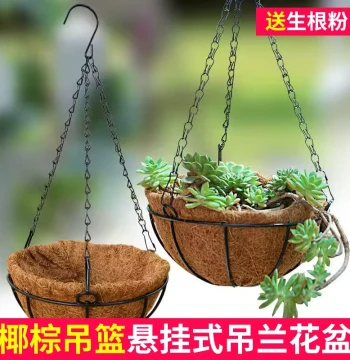 Coconut Coir Hanging Basket Planter Suspended Orchid Pot Creative Hanging Special Hook Pothos Succulent Trailing Wall-Mounted Pot