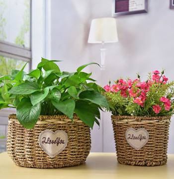 Straw Woven Flower Basket Indoor Desktop Decorative Green Plant Pot Pastoral Handmade Rattan Woven Succulent Planter Creative Pothos Pot