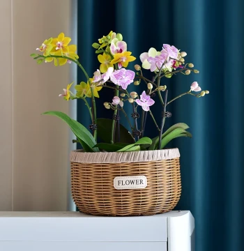 Woven Planter Baskets for Phalaenopsis Orchids and Pothos - Decorative Artificial Rattan Handmade Baskets for Living Room or AC Unit Tops