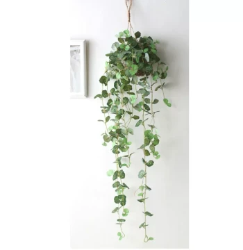 Nordic-Style Artificial Greenery in Rattan Hanging Baskets - Hook-Mounted Planters for Air Plants and Spanish Moss Wall Decor