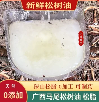 Freshly Harvested Natural Pine Resin Oil from Guangxi Deep Mountains - 500g Pure Masson Pine Turpentine with No Additives