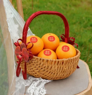 Wedding Gift Basket - Woven-Style Iron Handle Basket for Oranges, Eggs, and Floral Arrangements