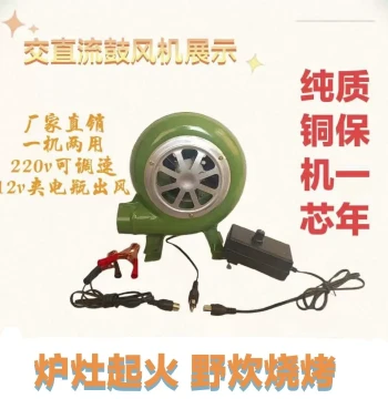 12V Mini Variable Speed Blower for Wood Gasification Stoves, Outdoor BBQ Fan, 220V Variable Speed Blower