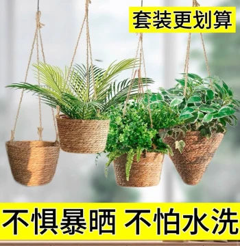 Straw Hanging Basket Planter, Suspended Pot for Spider Plants, Rattan Flower Basket, Woven Wall-Mounted Hanging Planter