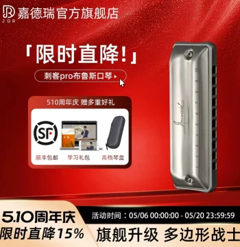 JDR Jiaderui Assassin Pro Blues Harmonica - 10-Hole C Key Professional Paddy Tuning