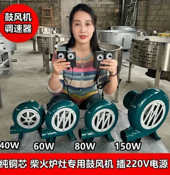 Wood Stove Dedicated Blower: Adjustable Variable Speed, 12V Electric & 220V AC/DC Compatible