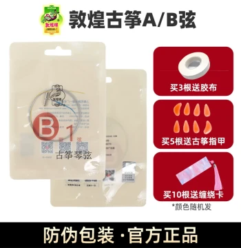 Dunhuang Genuine Guzheng Strings - Complete Set of B and A Strings for Performance Models (Strings 1-21)