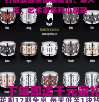 Mapex Snare Drum – Premium Models Including Black Panther, Arsenal, and Artist Series for Auditions, Performances, and Recording