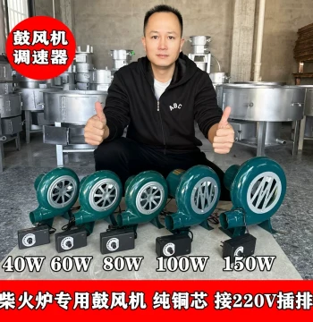 220V AC Blower, High-Power Strong Wind Fan with Optional Speed Controller, Centrifugal Fan for Stove Combustion, Iron Casing